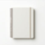 Wisdom Within Journal