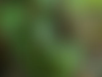 The Seeds of Champions Have Already Spouted In Your Mission