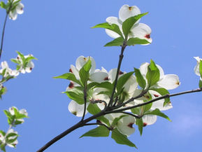 Move from Transactional to Transformational