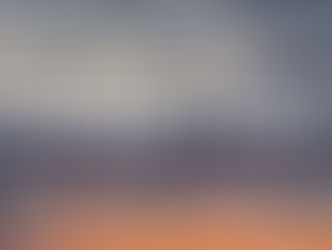 Define your primary customer & their needs