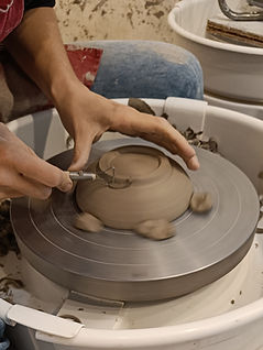 IMG20221113112919_edited.jpg