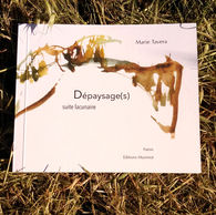 Marie Tavera - Dépaysage(s) - suite lacunaire - éditions Musimot mai 2025