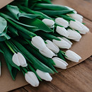 New Flowers