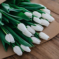 New Flowers