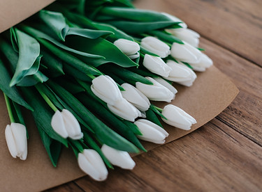 New Flowers