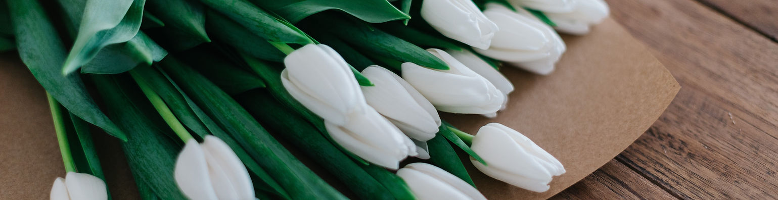 New Flowers