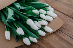New Flowers