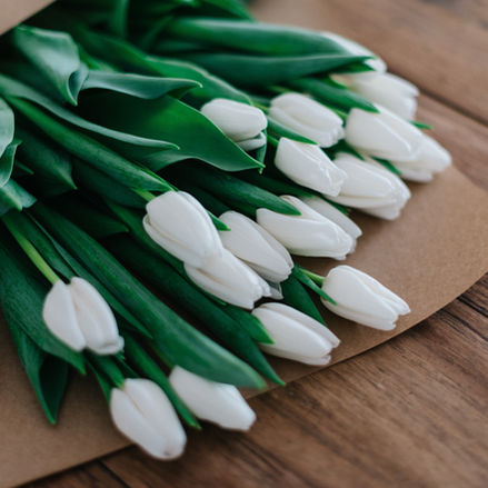 A New Year: Time to Renew and Refresh