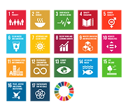 FDC + SDG