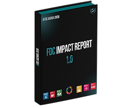 FDC IMPACT REPORT 1.0