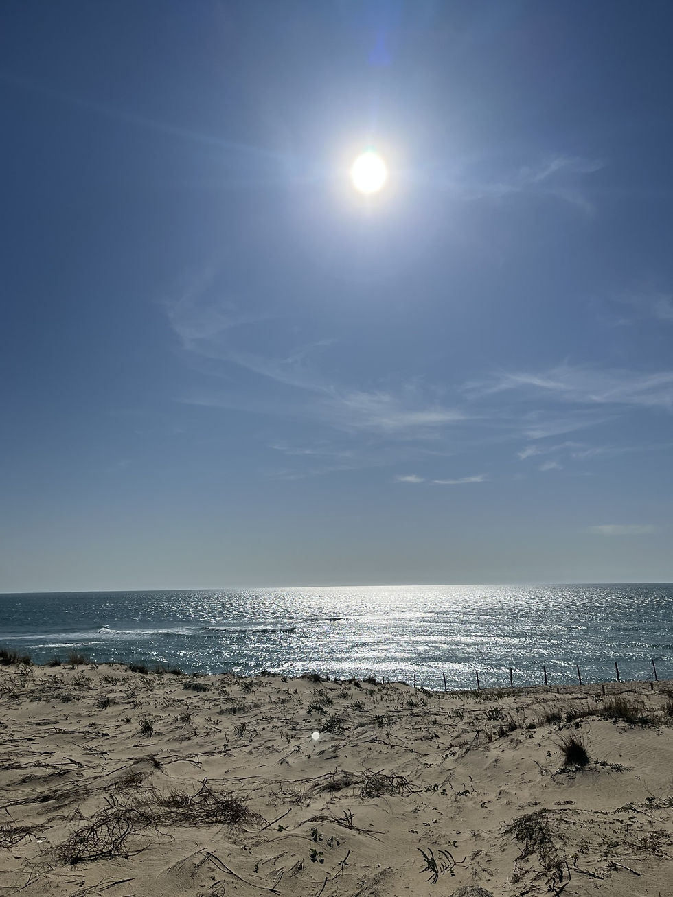 Pointe du Cap Ferret