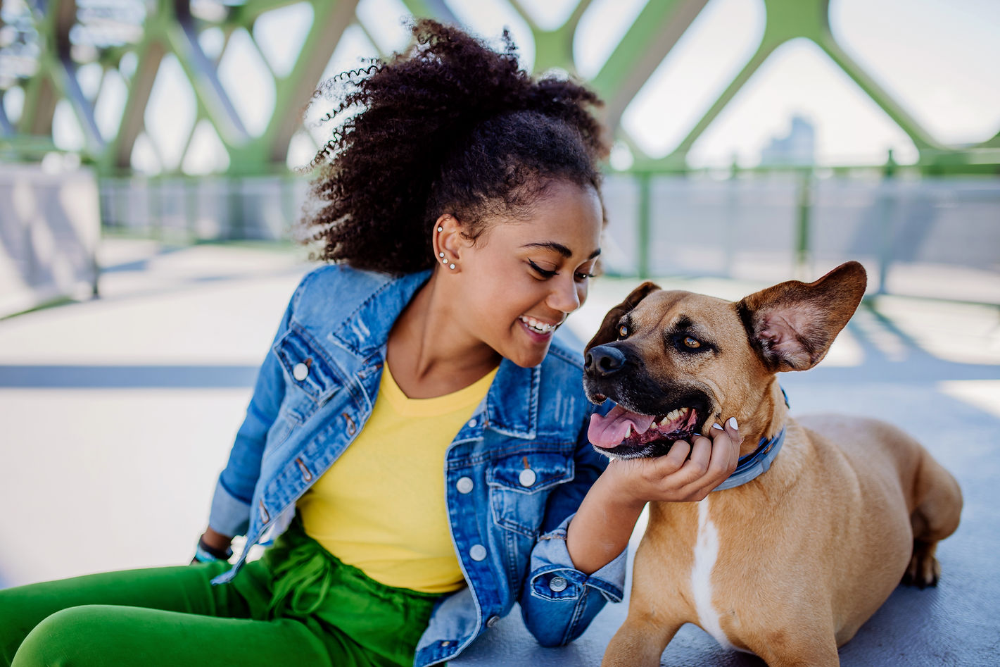 AdobeStock_522951020.jpeg