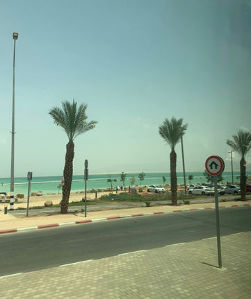 IMG_1407.jpeg