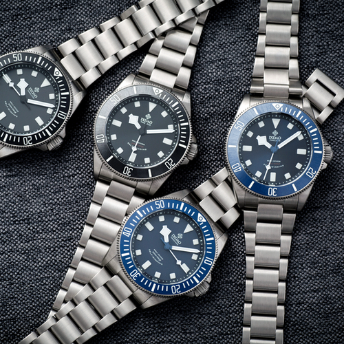 アイウォーク Z5i+ 2-10x42 L BT Plex-I - SWAROVSKI OPTIK