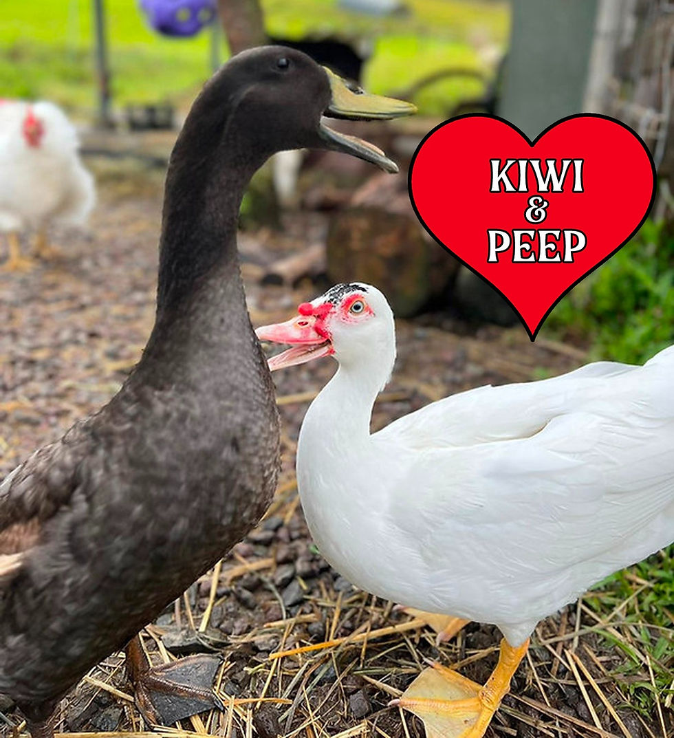 Thumbnail: Personalized Valentine VideoGram
