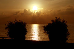 Peace