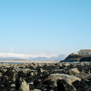 Rockpooling in Snowdonia