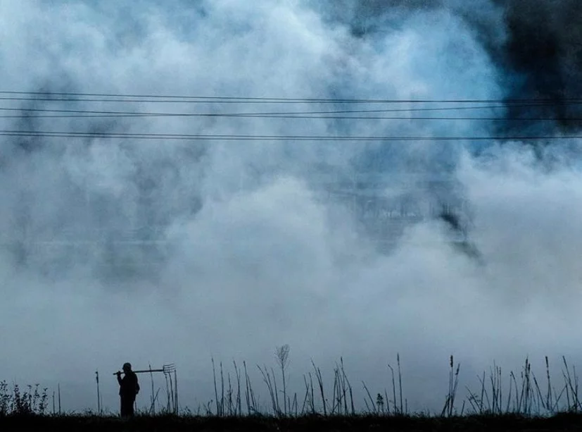 Smoke from burning crops in a field