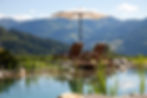 water with reeds and mountains in background