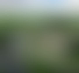 New hostels, holidays and partnerships for YHA