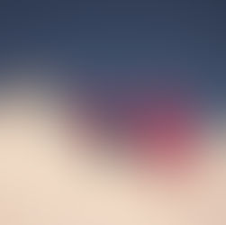 Alternative Winter Holidays