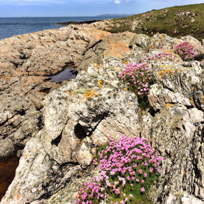 Walking Anglesey's Coastal Path