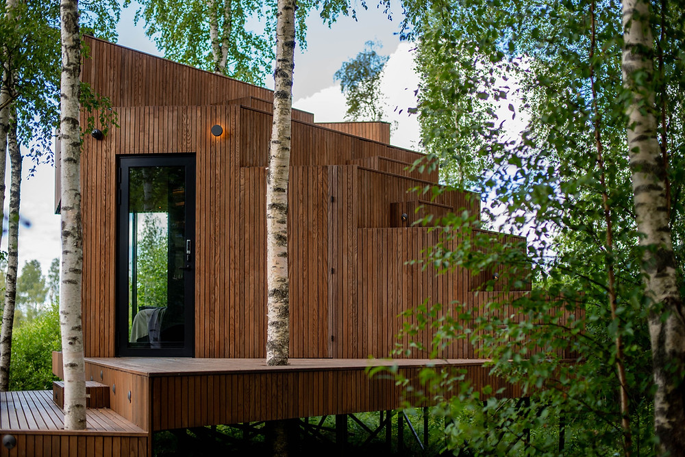 Wooden structure surrounding by trees