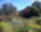 Exbury Gardens in the New Forest