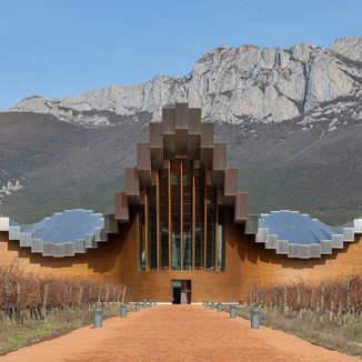 Local activities in Green Spain