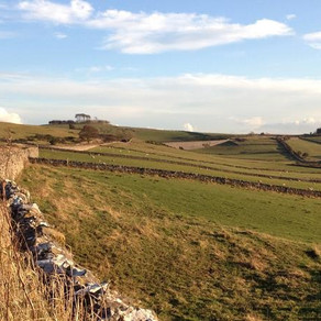 A Green Holiday in the Peak District