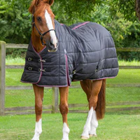 Thumbnail: Garissa Stable Rug