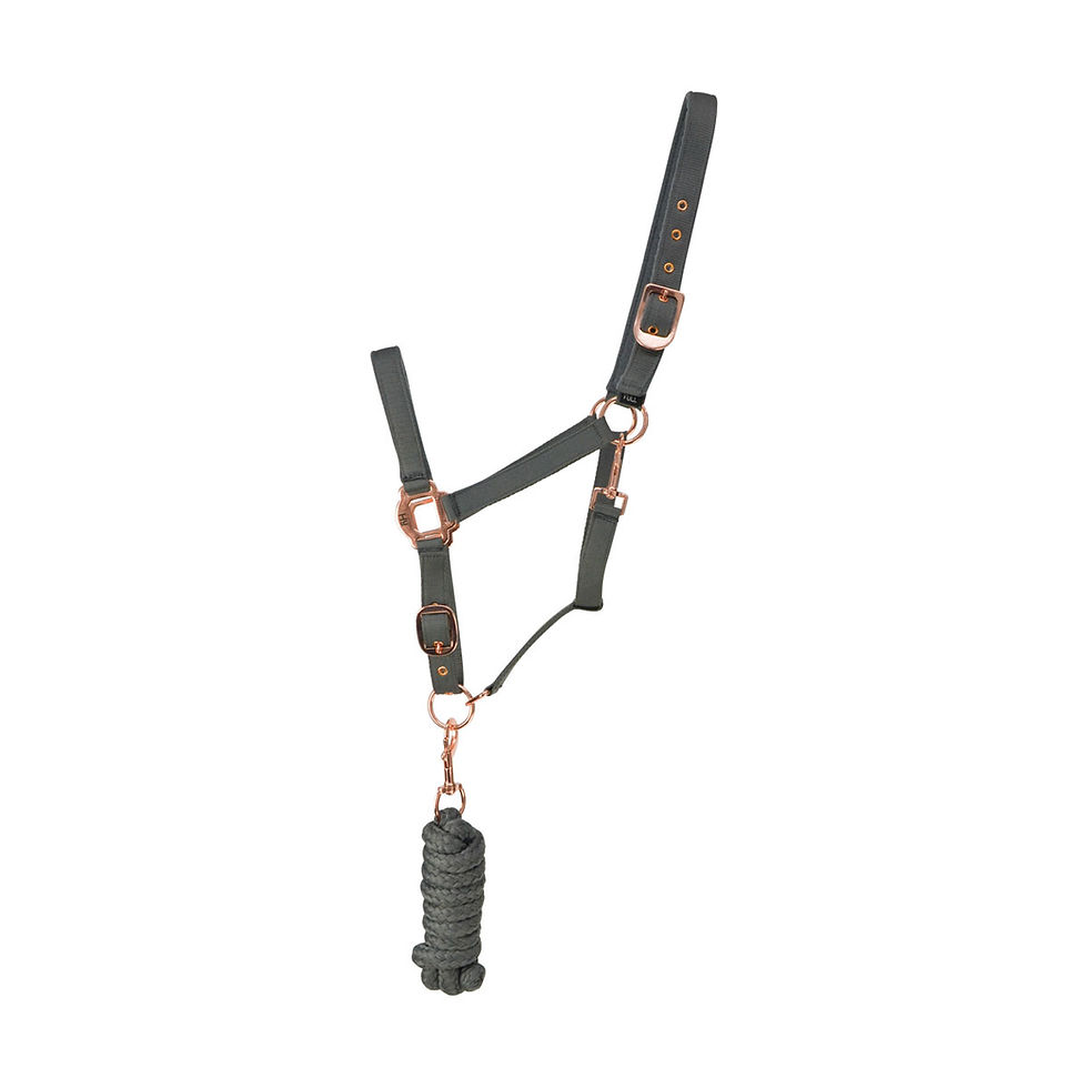 Thumbnail: Hy Rose Gold Headcollar and Lead Rope