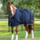 Thumbnail: Stratus Horse Stable Sheet