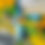 Thumbnail: Dear Dusty