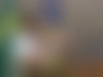 "Não servirei de escada para malandro." Disse o vereador Pedrinho.