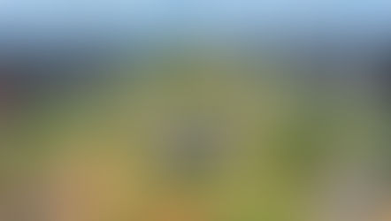 BASTIDORES DA POLÍTICA: Brasília entrará no clima de São João ?