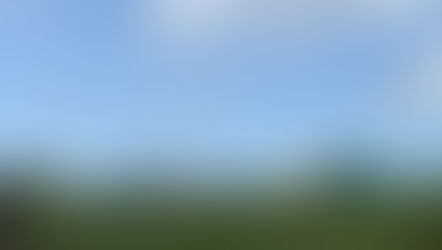 Após denúncias Frigorífico Serrano manda retirar rejeitos jogados no Pov. Gameleira. (VÍDEO)