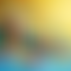 Vietnam Veterans Day has roots in the Cold War