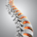 artrite artrose e osteoporose qual a diferença