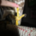 A yellow bird talon for the Jynx Season I archive.