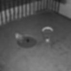 Chicken in an enclosure from the jynx season i archive