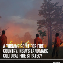 Australia has always been a fire country. Long before emergency warnings, aerial waterbombers and government-funded hazard reduction programs, Aboriginal people (Indigenous people of Australia also referred to as First Nations) understood how fire moved through the landscape. They knew when to burn, where to burn, how intensely to burn, and crucially, when to leave Country alone. Fire was not a disaster waiting to happen. It was something to understand, respect and use with precision and care.