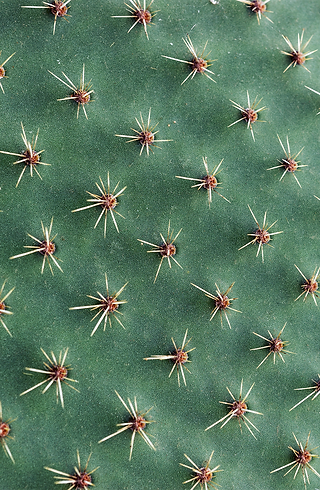 AdobeStock_235698139.png