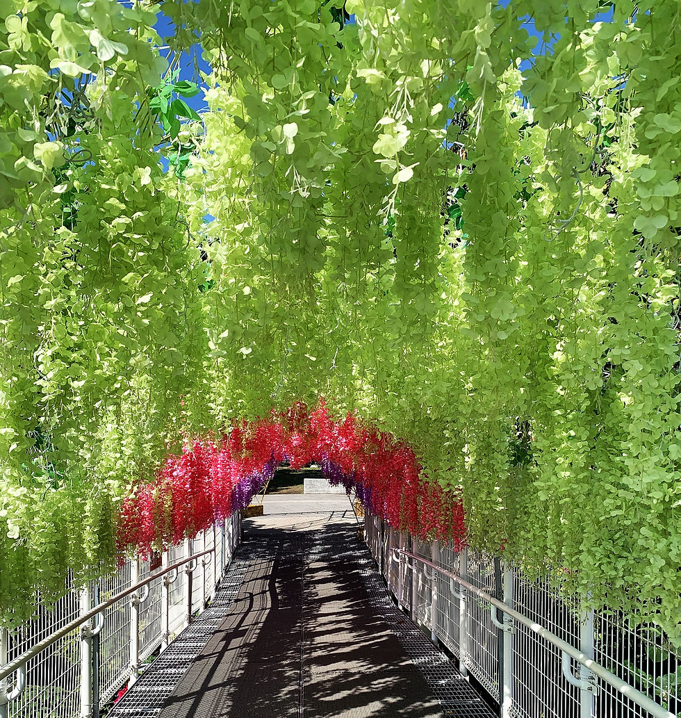 天空步道