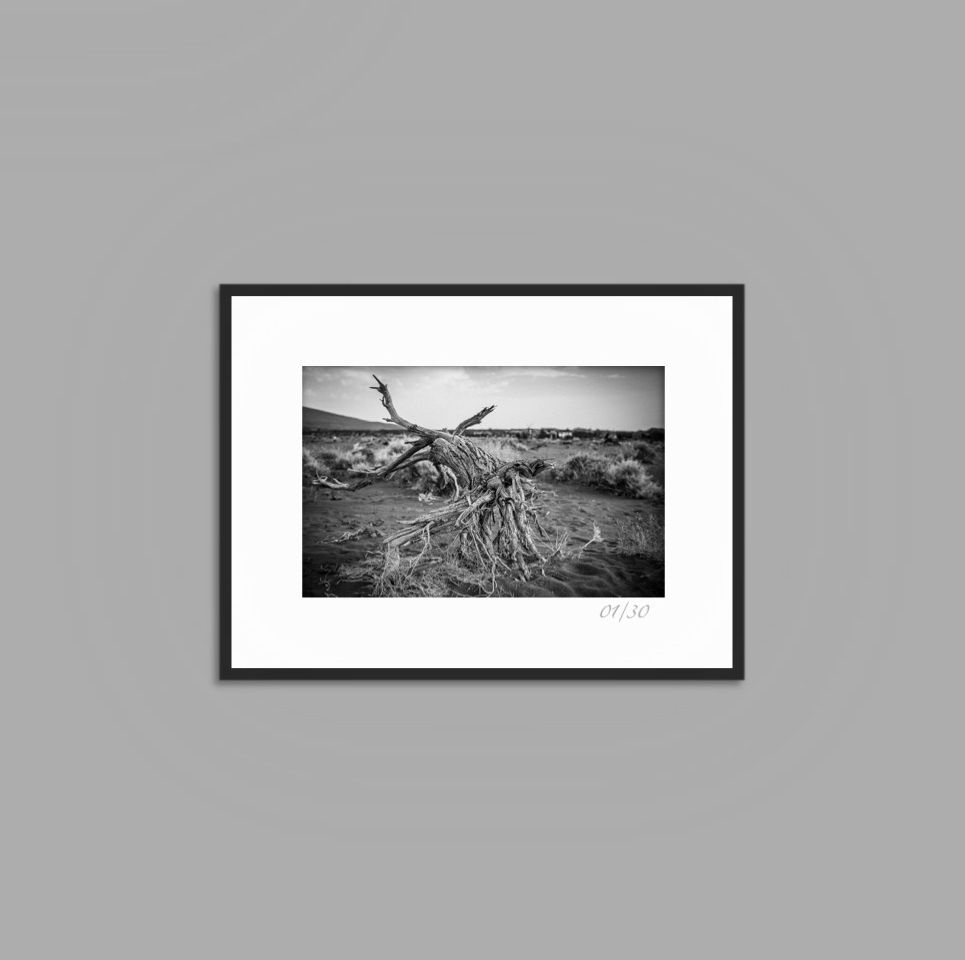 Thumbnail: Hell Roots (Ethiopia)