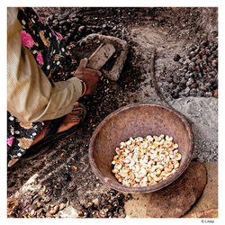 Préparation de noix de cajou