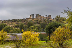 Roman Ruins, Volubilis