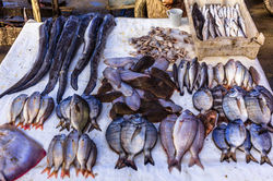Fish Market, Essaouira