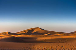 Early Morning Sahara