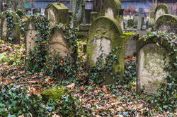 New Jewish Cemetery, Krakow, Poland